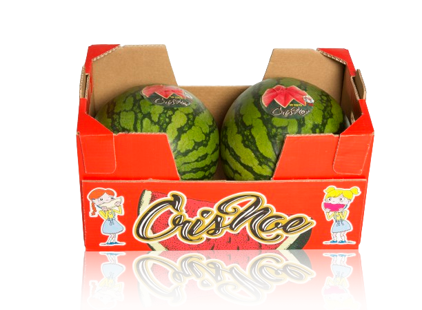 01-Sandia CrisNoeRayadaCaja2