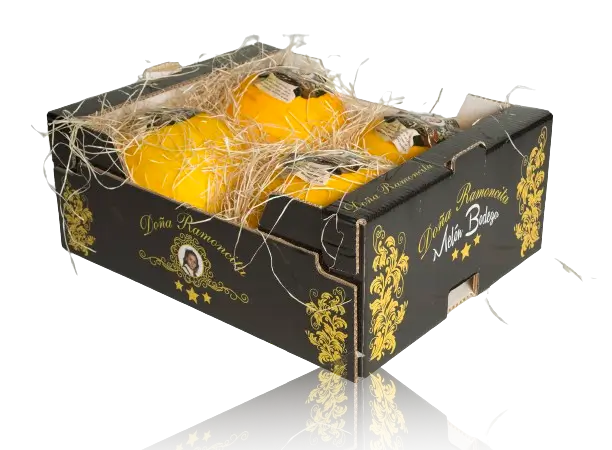 01_-_Melón_Bodega_Amarillo